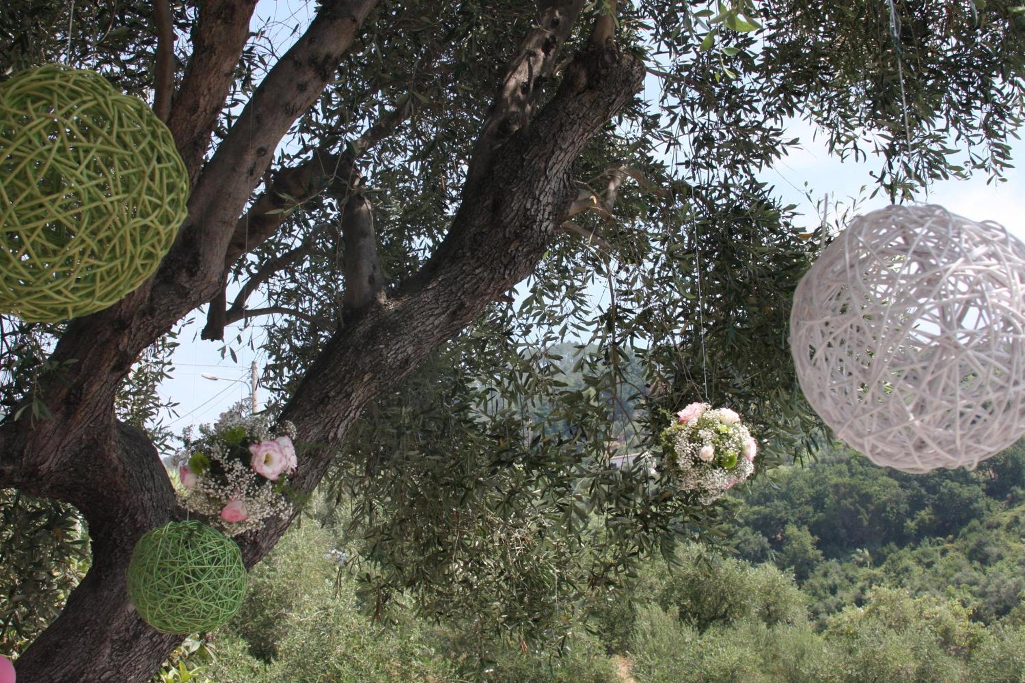 B&B Le Giare Monterosso al Mare Eksteriør billede